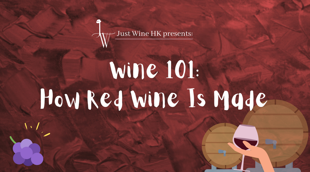 Wine 101: How Red Wine Is Made